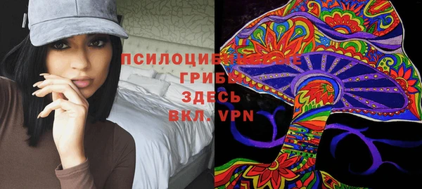 jwh Богородицк